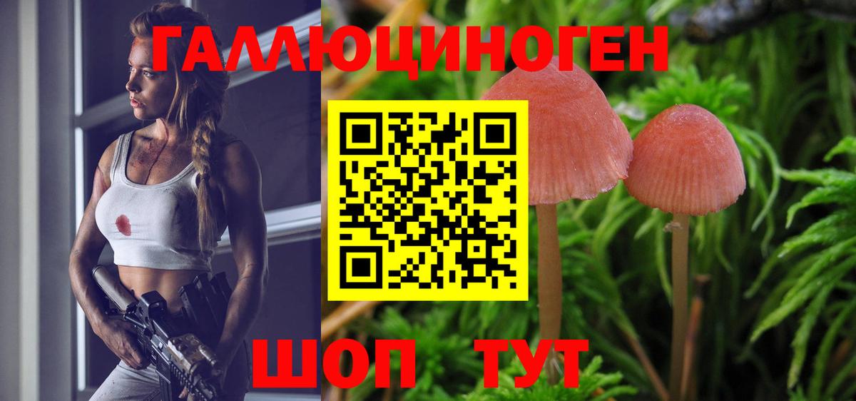 Шадринск  Галлюциногенные грибы Psilocybe  Вход с VPN  Галлюциногенные грибы GOLDEN TEACHER 