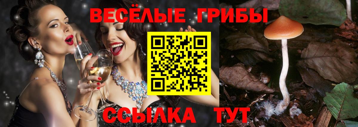 Галлюциногенные грибы прущие грибы Шадринск